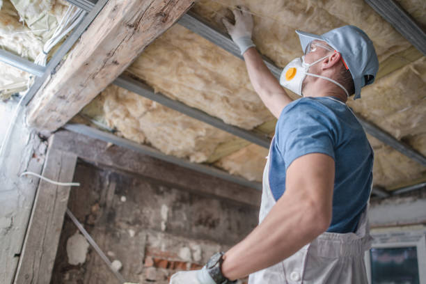 Best Insulation Repair Services  in Commack, NY