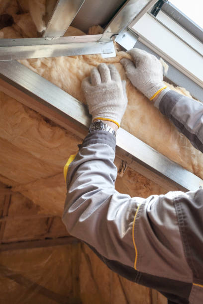 Best Insulation Replacement Services  in Commack, NY