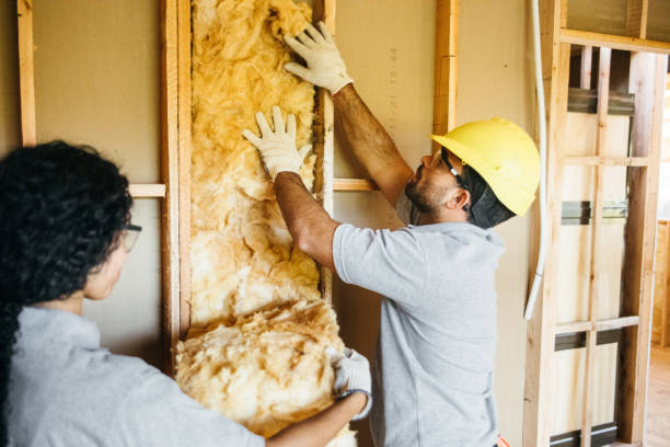 Best Home Insulation Services  in Commack, NY